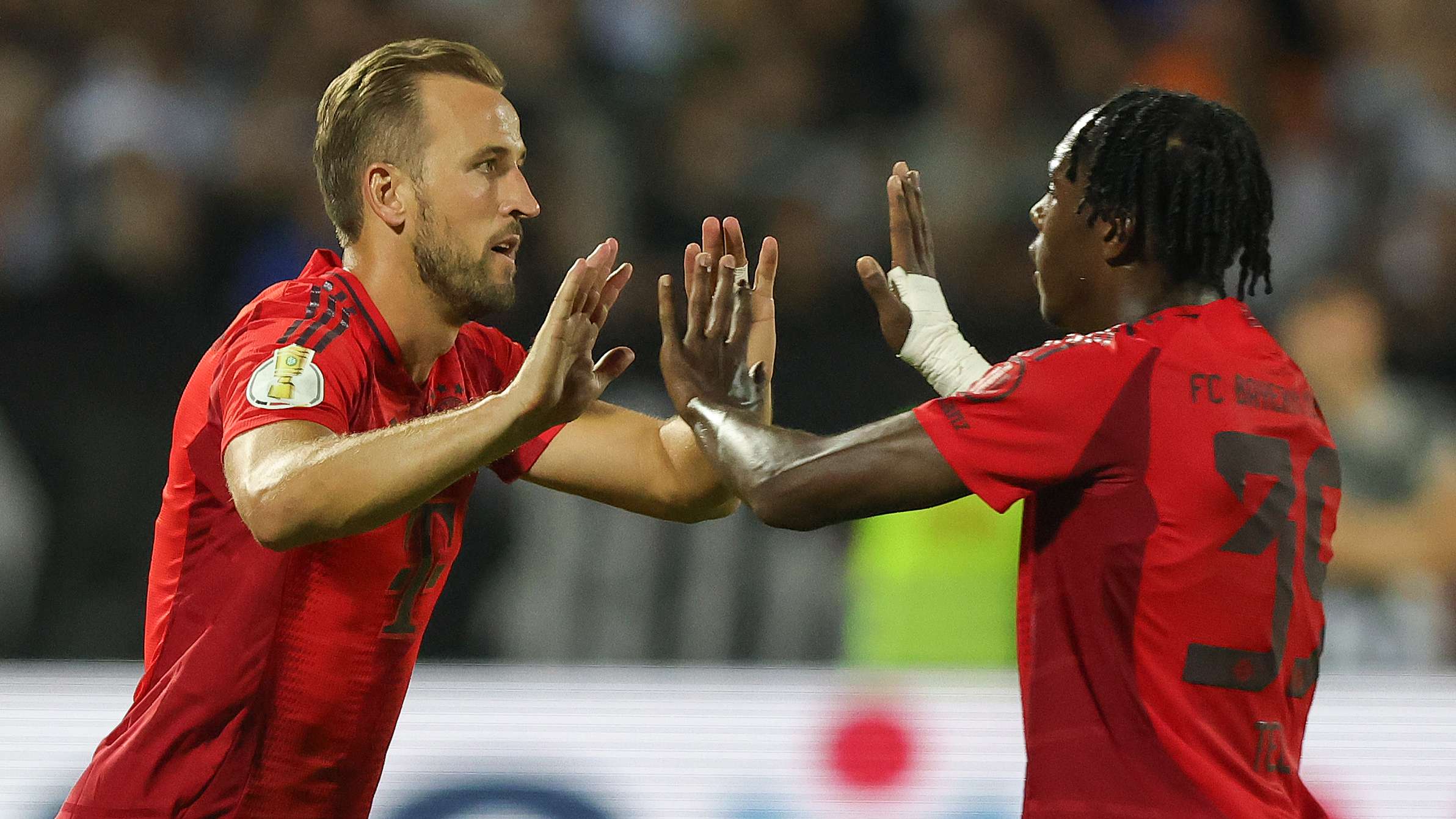 组赛中葡萄 组赛中葡萄