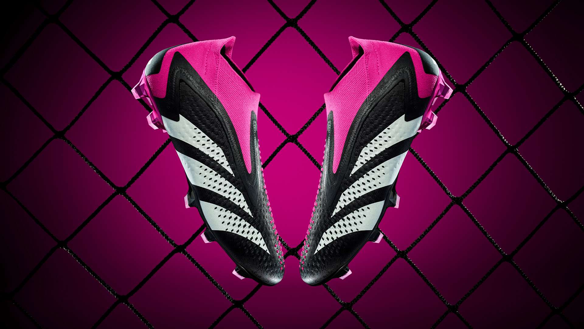 年世界杯的 年世界杯的